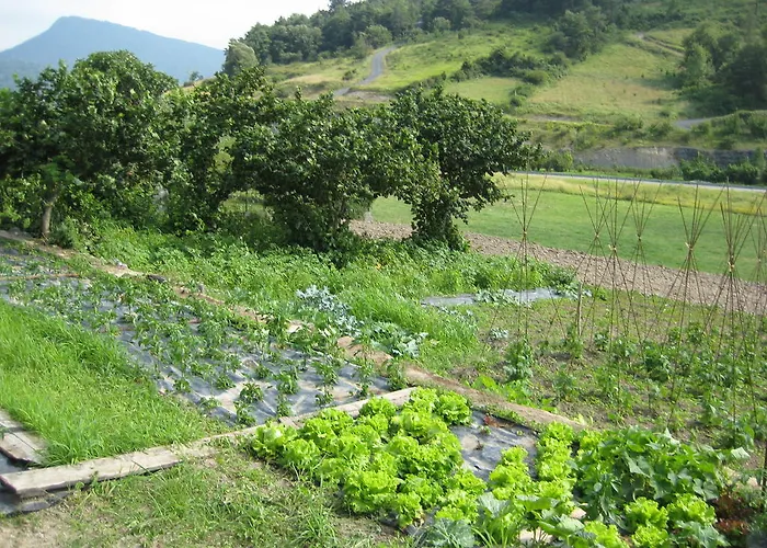 Летний дом Casa Rural Garabilla Llanteno